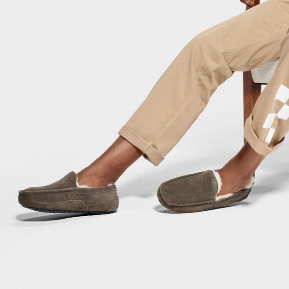 UGG Other - NWT UGG Ascot Slipper